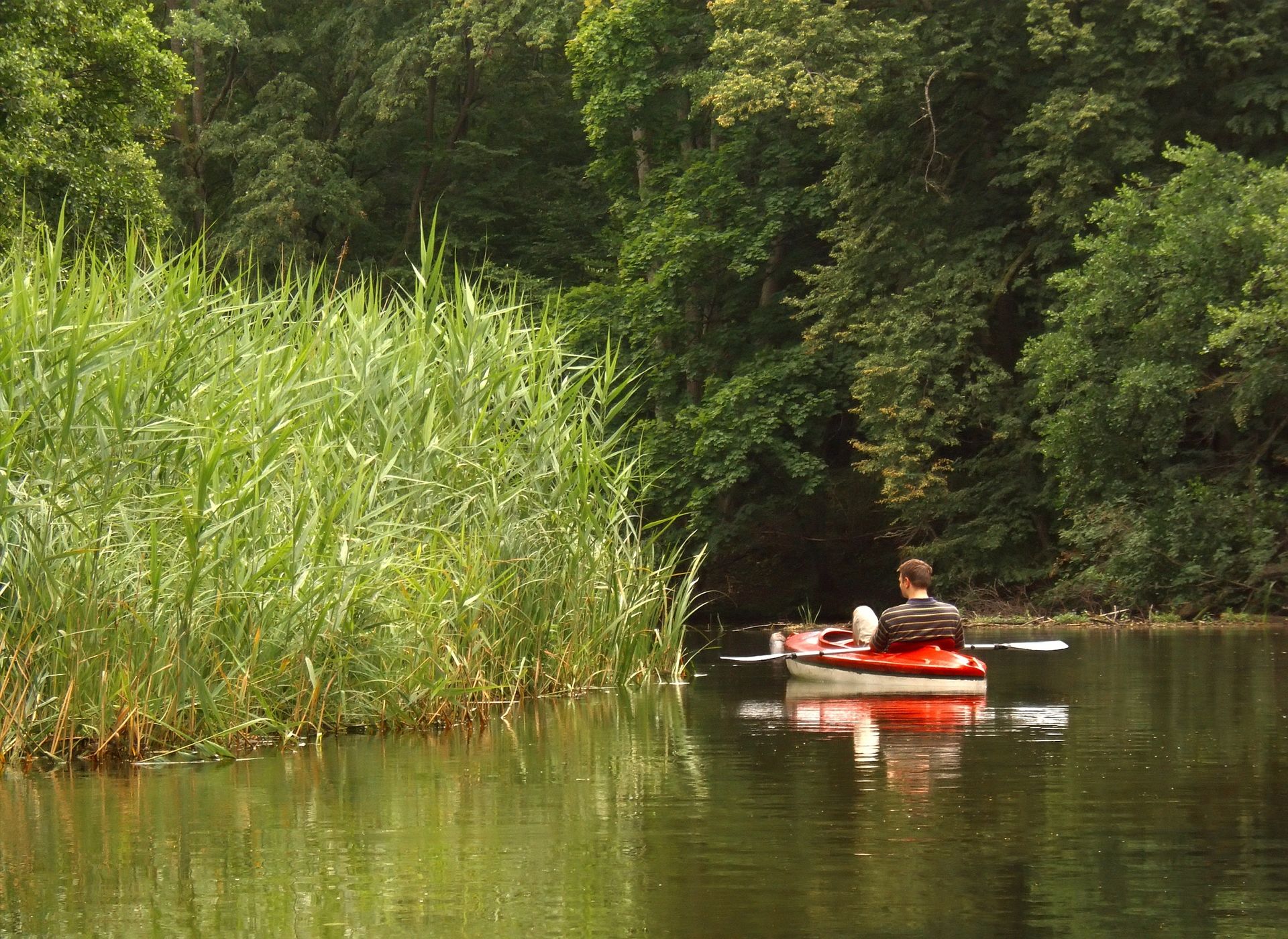 Canoeing on the Recknitz