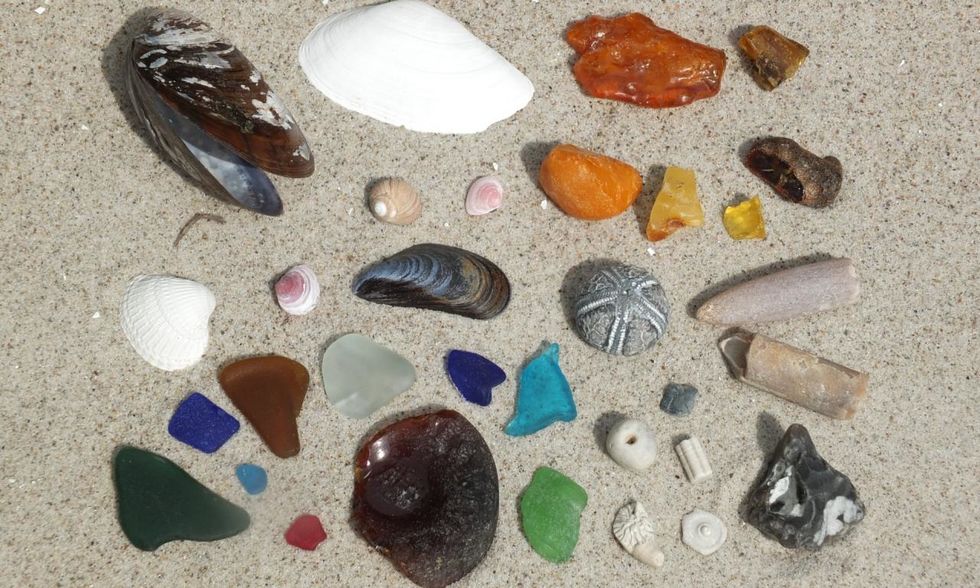 beach-finds-at-the-baltic-sea