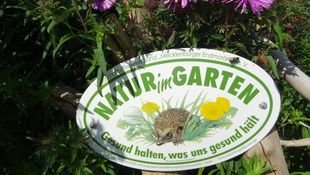 Naturgärten „Offene Gartentür“ auf dem Gutshof Alt Guthendorf