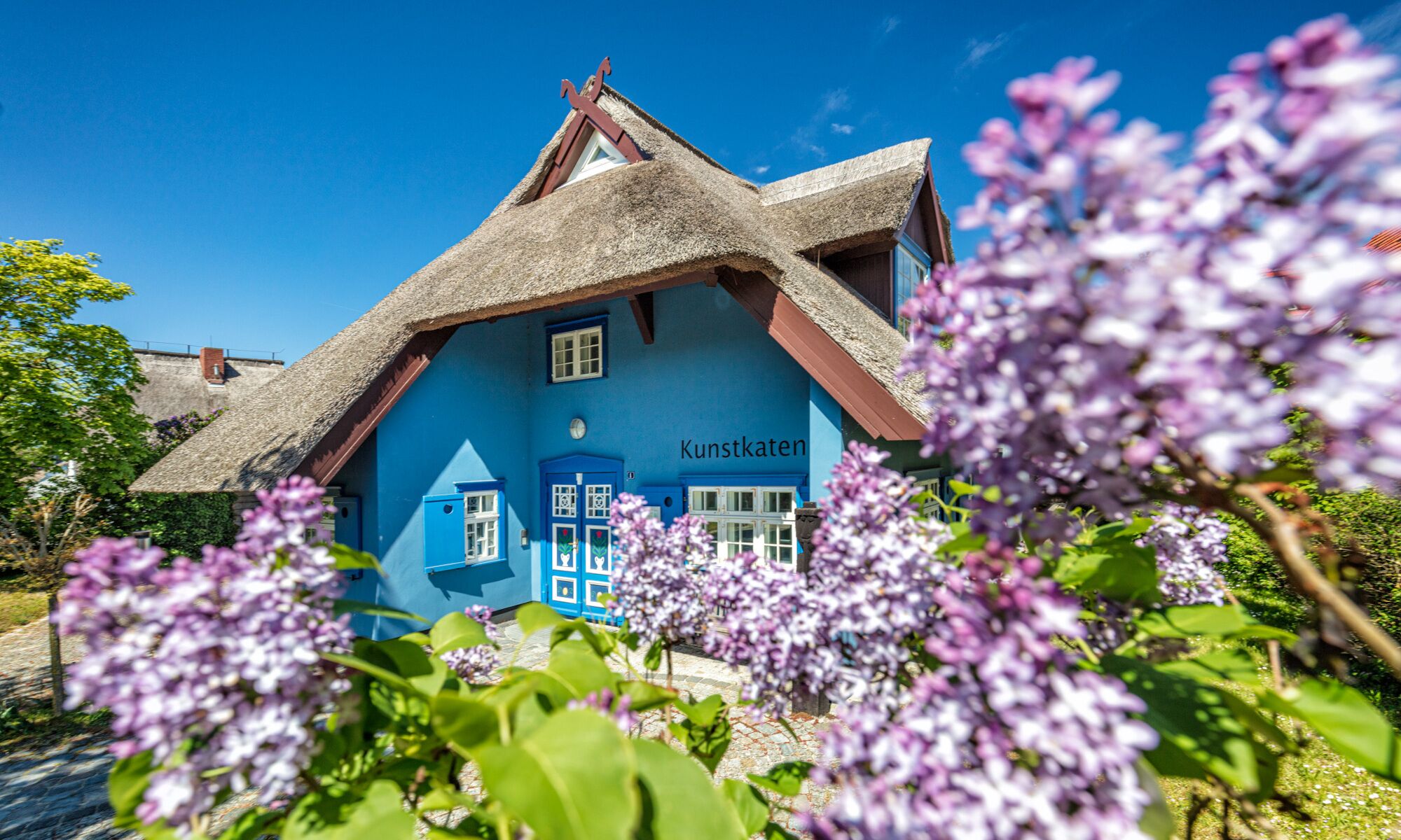 Blüte vor dem Ahrenshooper Kunstkaten