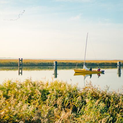 Morgenstimmung am Bodden