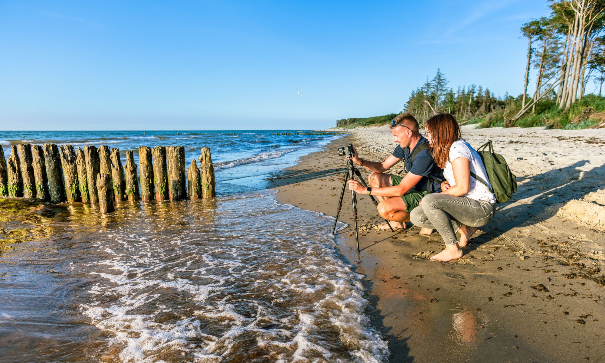 Auf Fotojagd am Strand von Graal-Müritz