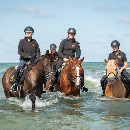 Bernsteinreiter Strandritt