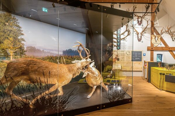 Forst-und-Jagdmuseum Born a. Darß