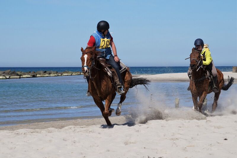 Strandgalopprennen Wustrow