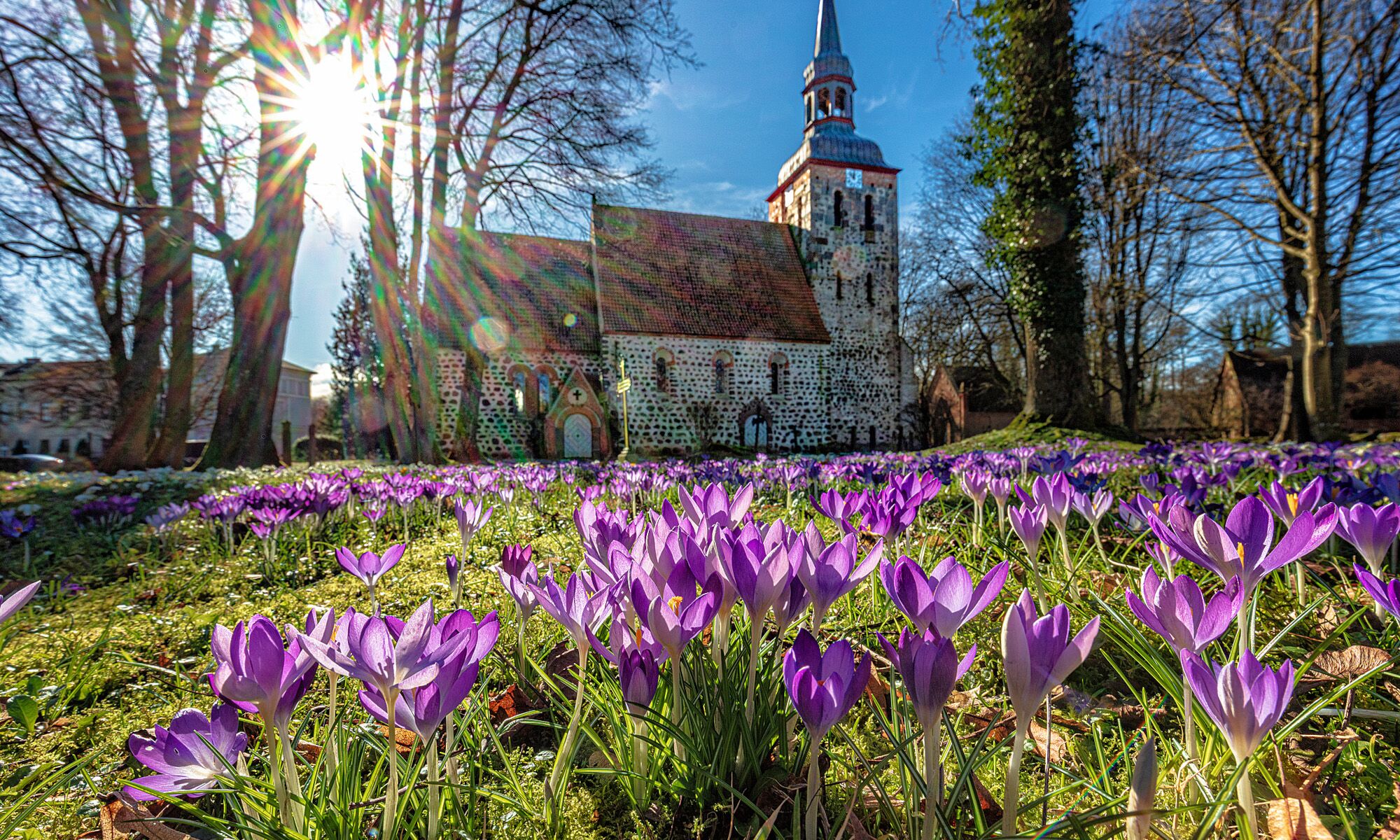 Dorfkirche Semlow in der Frühlingssonne