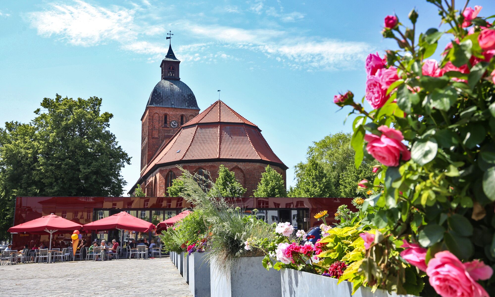 Blütepracht am Marktplatz Ribnitz-Damgarten