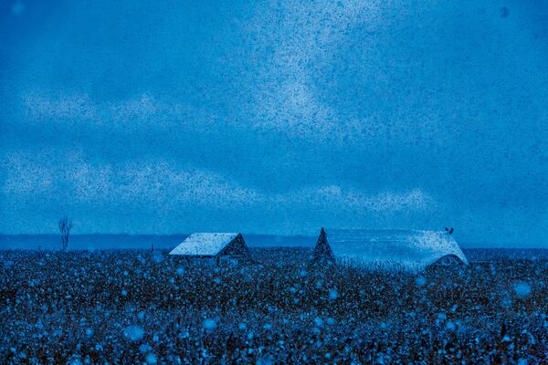 Schneeschauer auf dem Boddendeich in Ahrenshoop