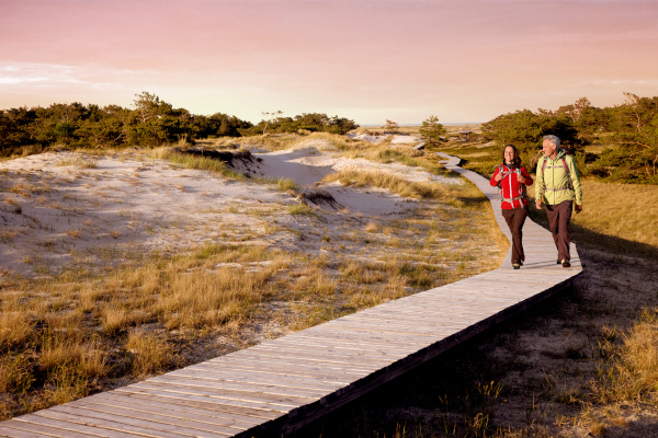 Wooden boardwalk at Darßer Ort