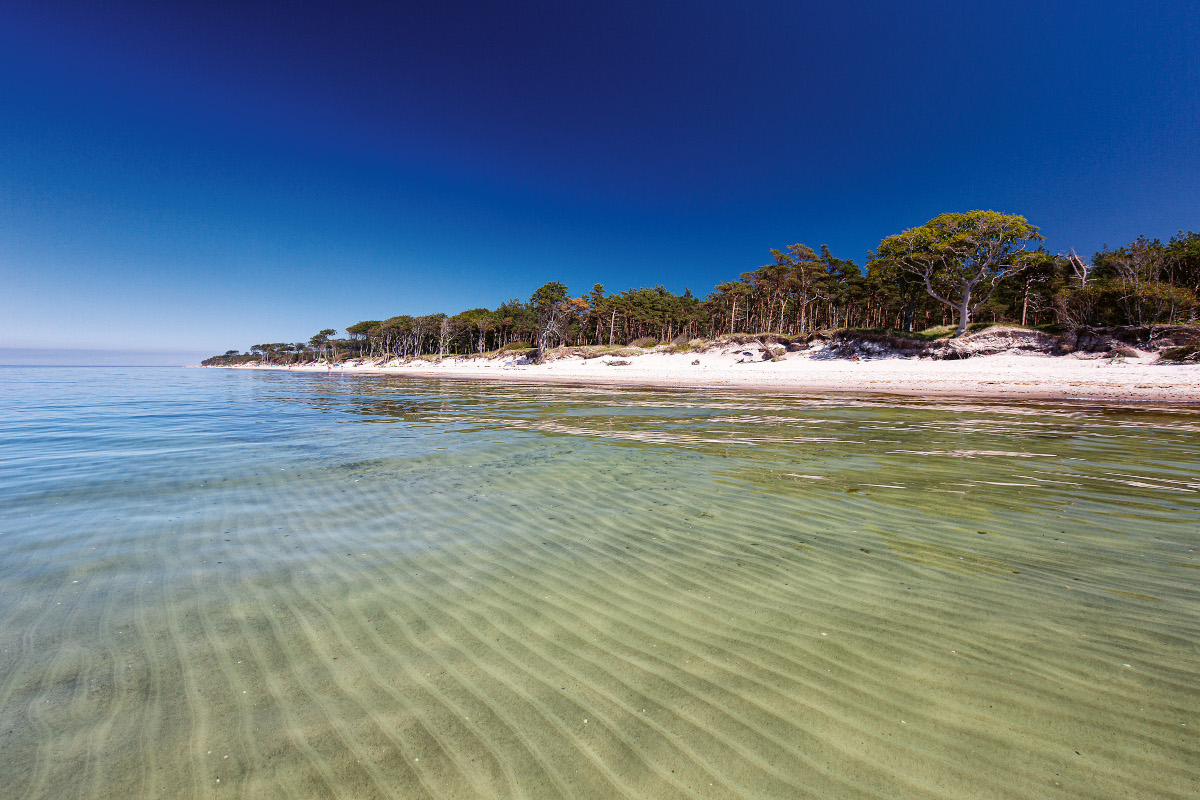 Küste von Fischland-Darß-Zingst.