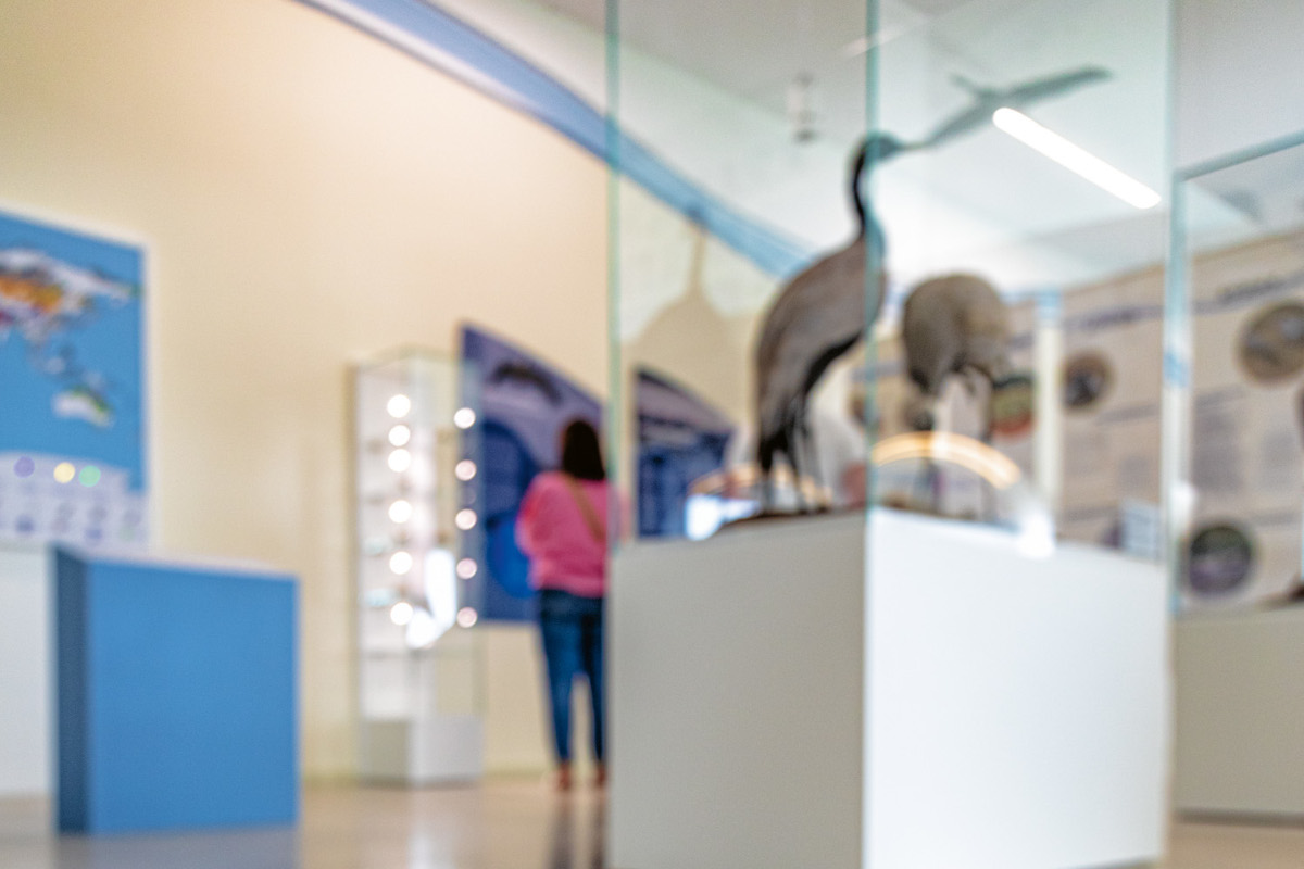 Kranichwelten Ausstellung.