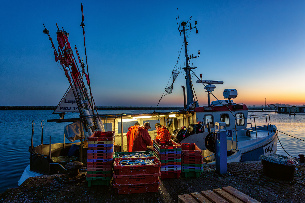 Fischer am Barther Bodden laden vor Sonnenaufgang ihren Fang aus.