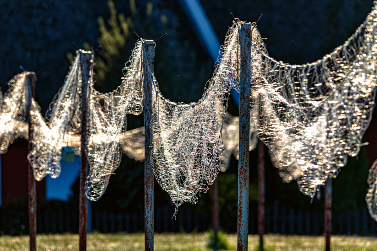 Die ersten Sonnenstrahlen lassen die aufgehängten Netze erstrahlen.