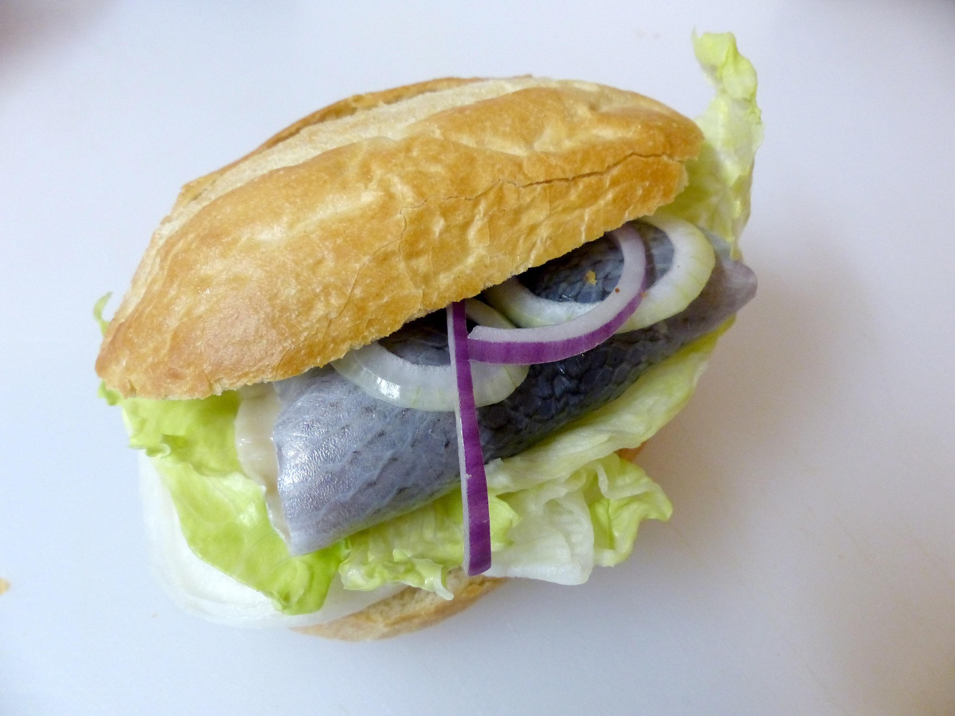 Natur, Kultur & Fischbrötchen