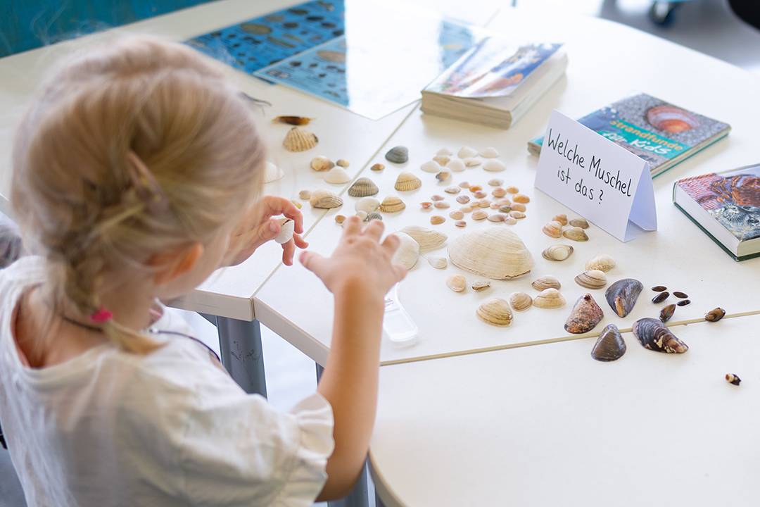 Workshop: „Strandfunde“