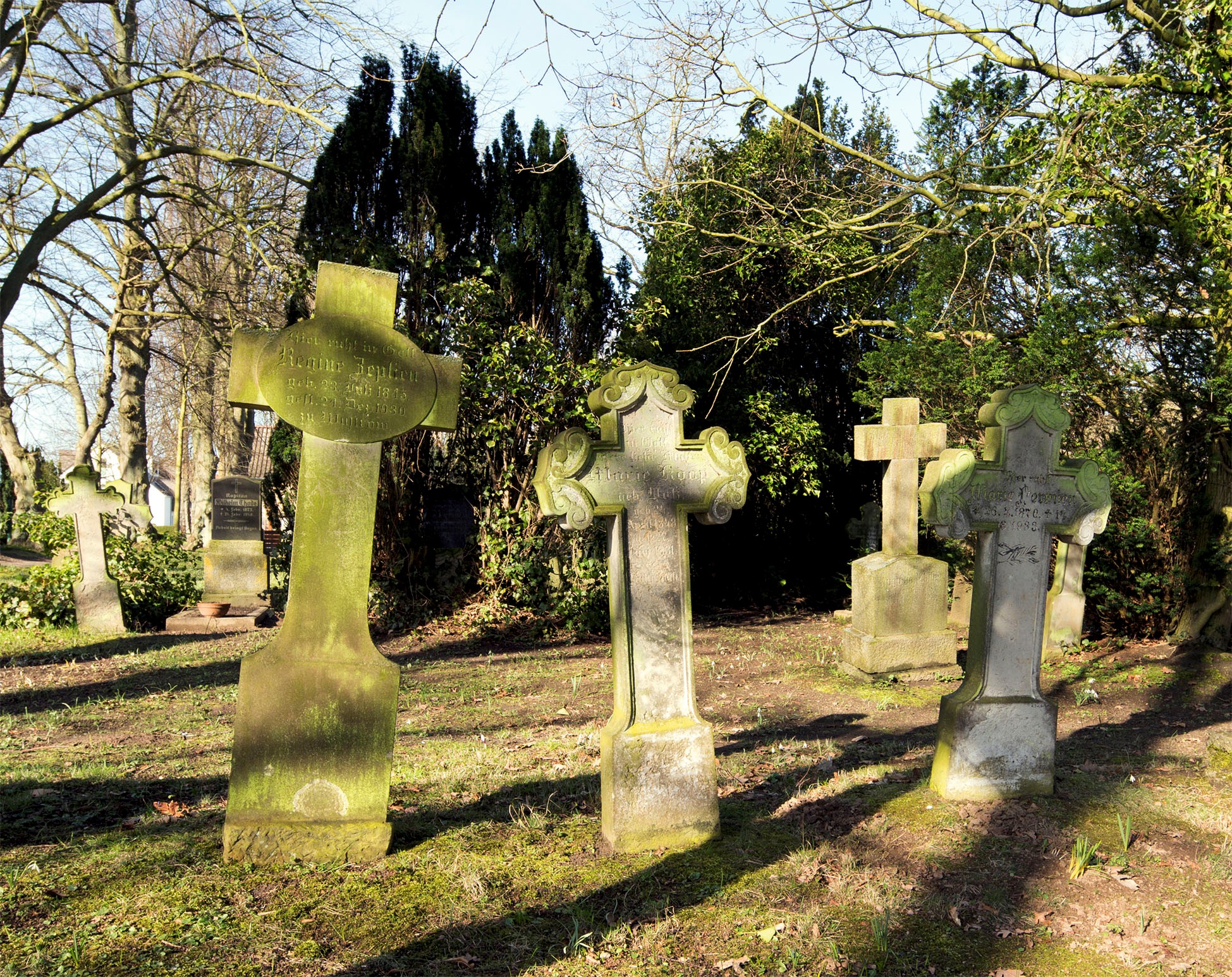 Erkundungstour "Fischländer Friedhof"