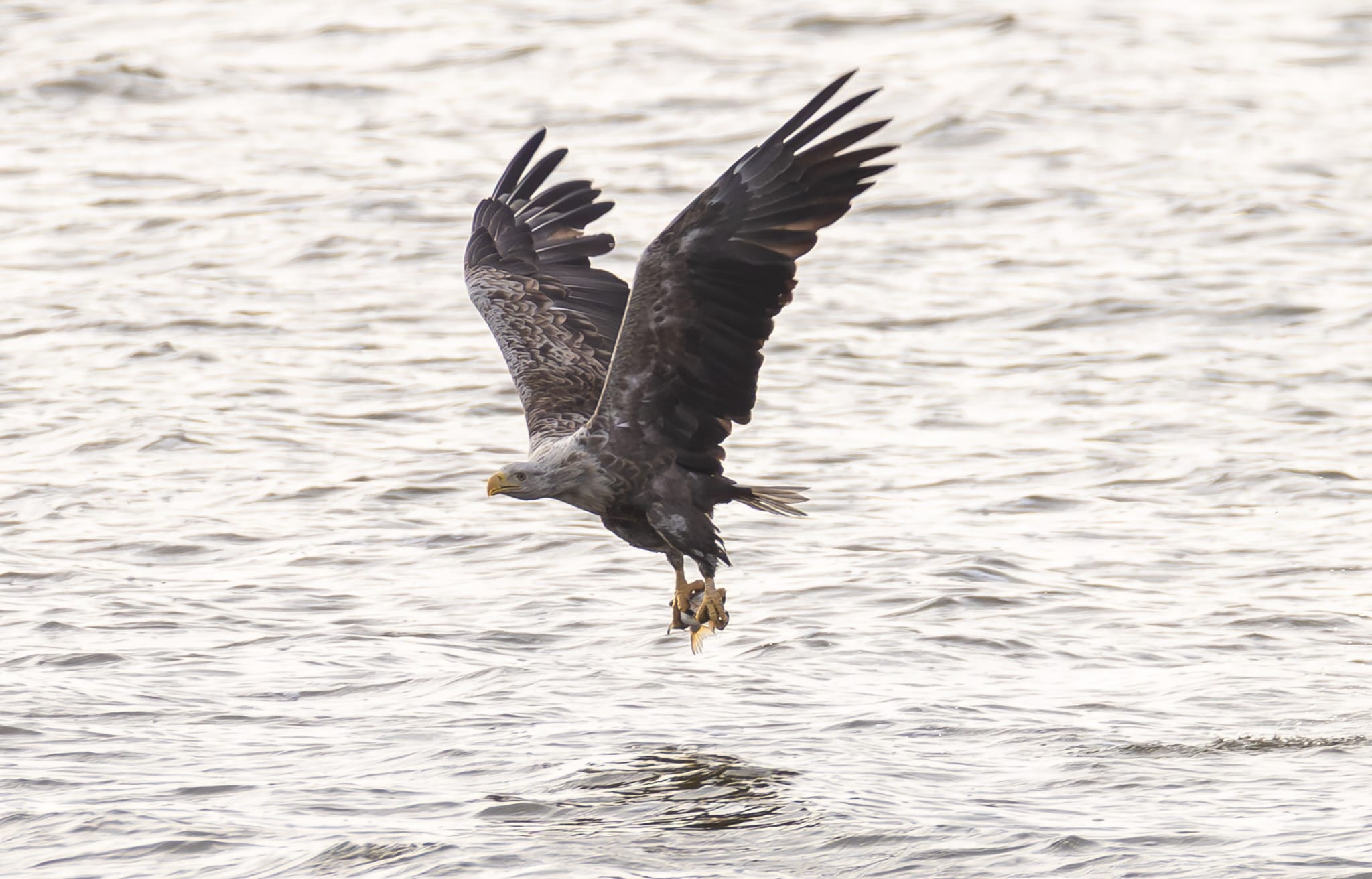 Multivisionsshow „Die Big Five Mecklenburg-Vorpommerns„