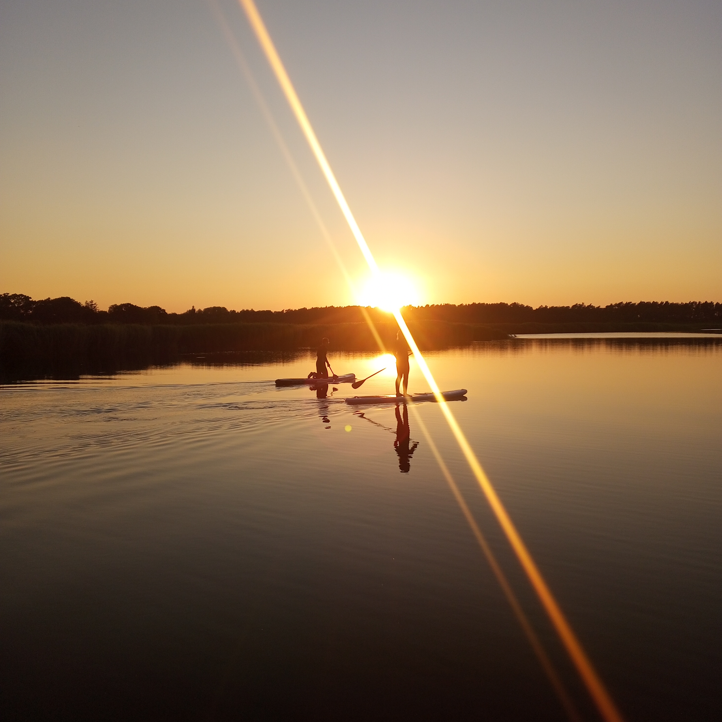 Standup Paddle: Sonnenuntergangstour auf dem Prerowstrom