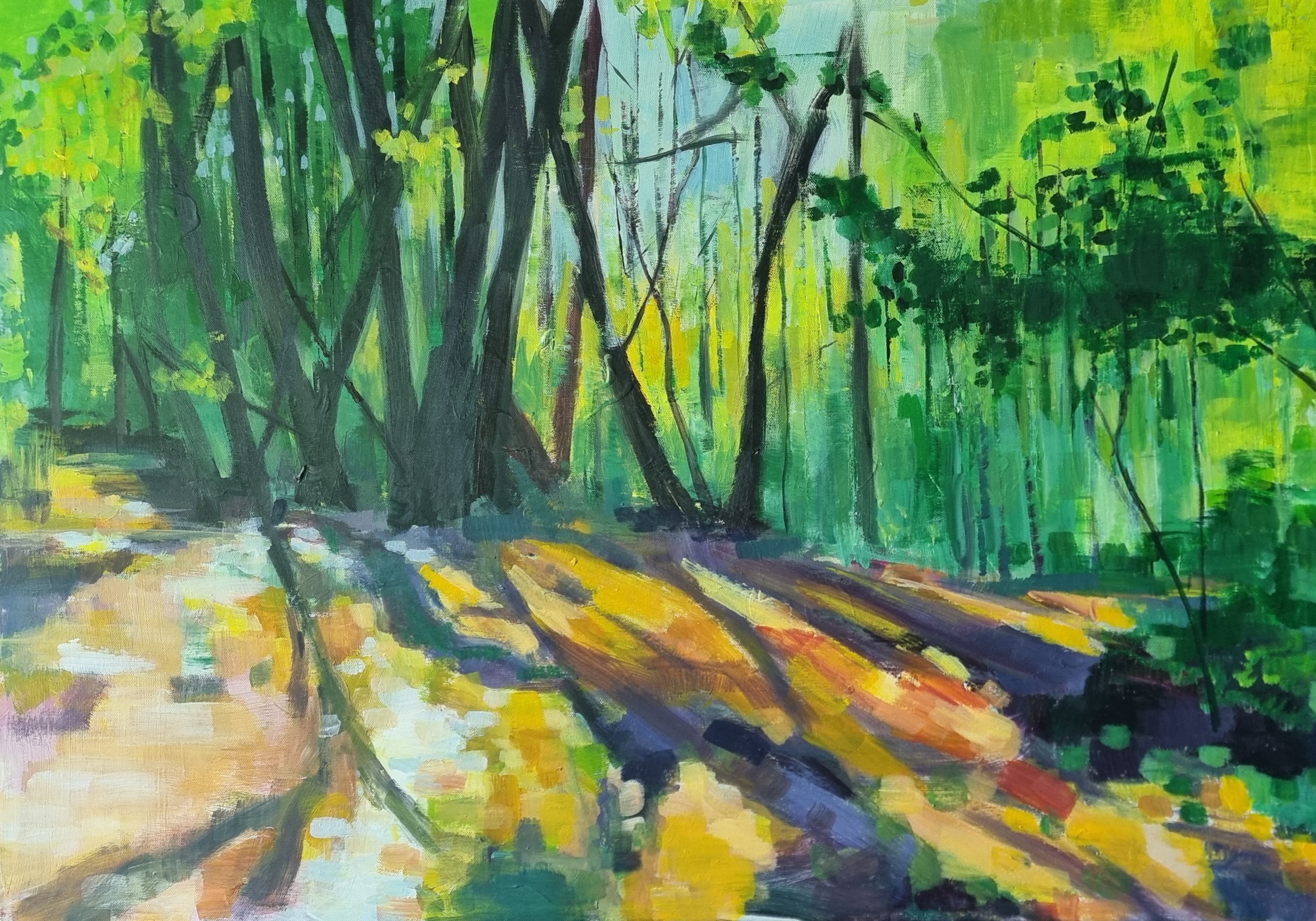 Antje Cremer "Land im Licht"