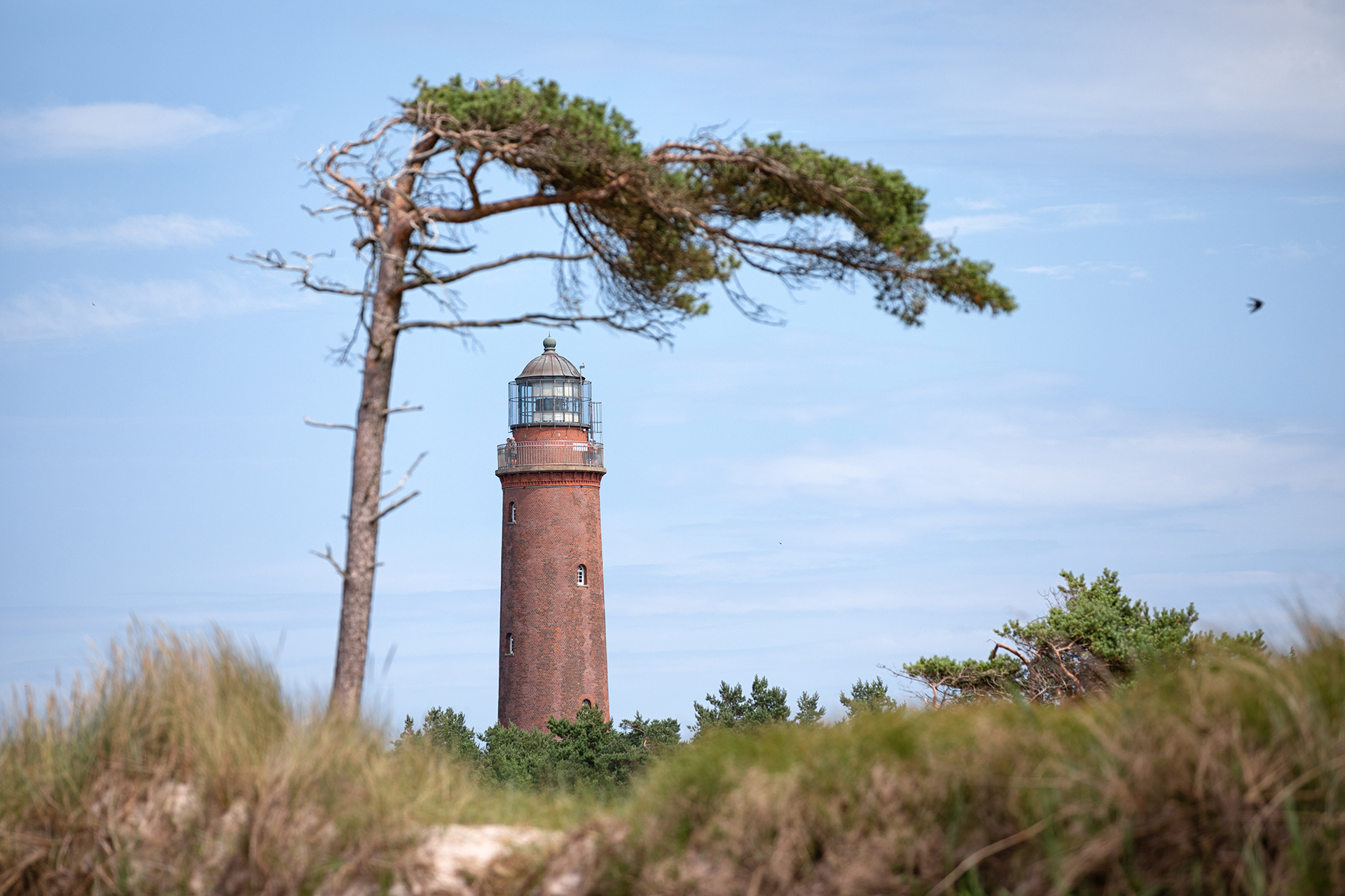 Kostenloser Eintritt ins NATUREUM am Darßer Ort