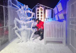 LIVE ice carving