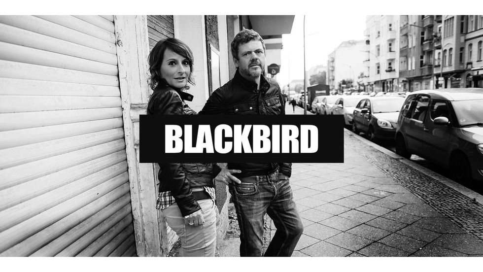 Blackbird press photo