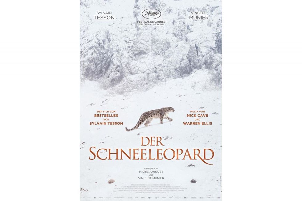 NaturfilmNacht "Der Schneeleopard"