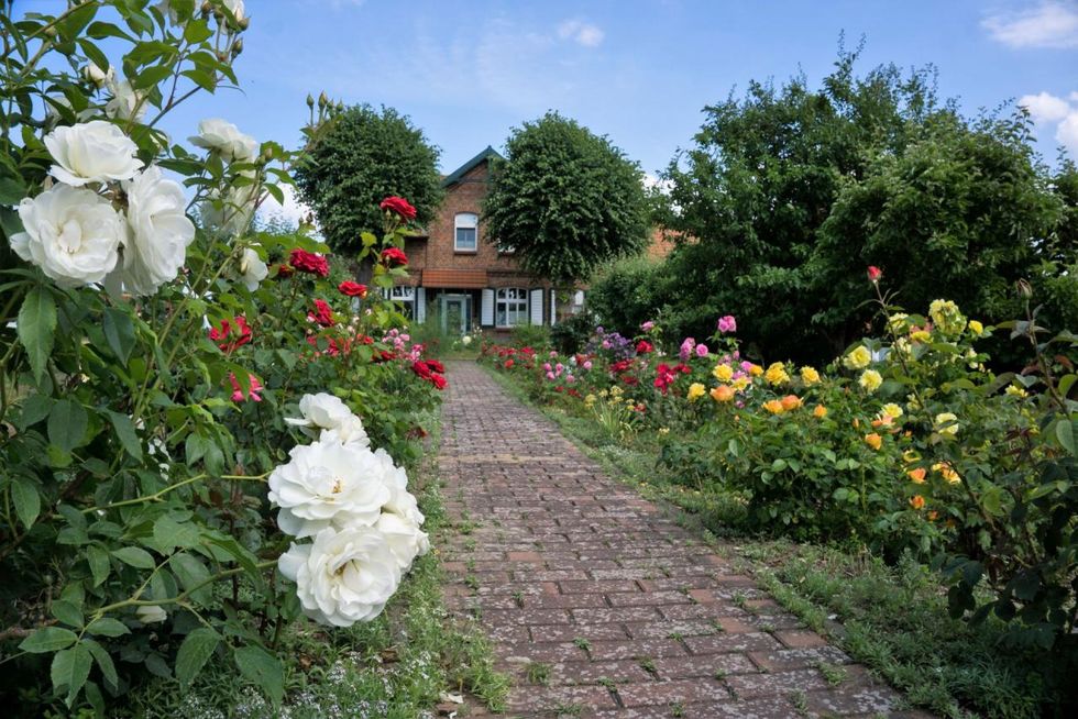 Blick auf unser Haus mit Rosengarten