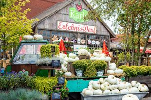 Karls Erlebnis-Dorf Herbstlicher Kürbismarkt 