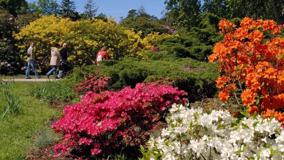 rhododendronpark-2_1