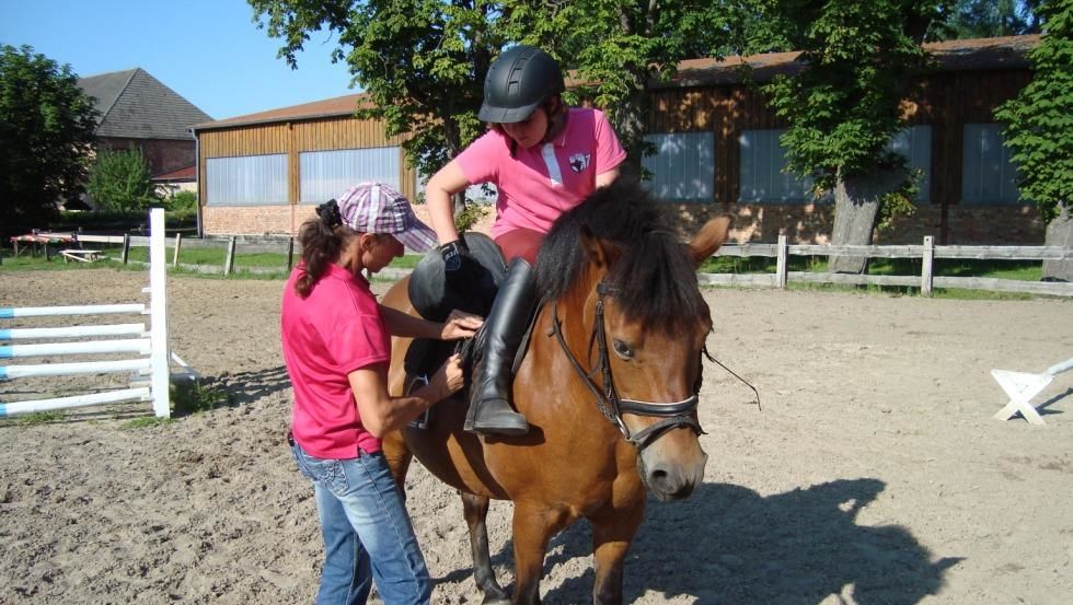 During the therapeutic riding encounter with the horse, impaired children and adults experience the closeness to the horse